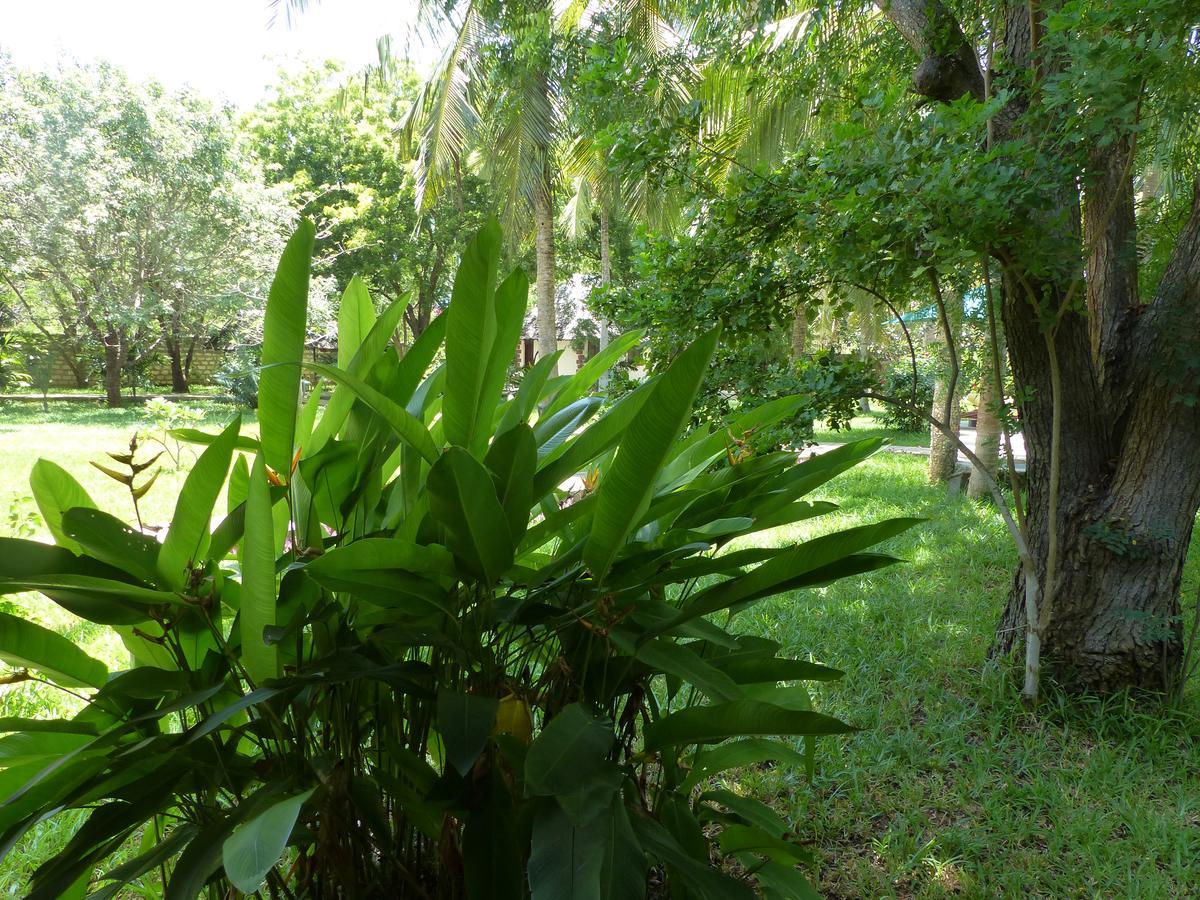 Residence Maison Muege Kilifi Exterior foto